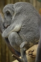 Kids_DZoo-SBreak2012 (126)